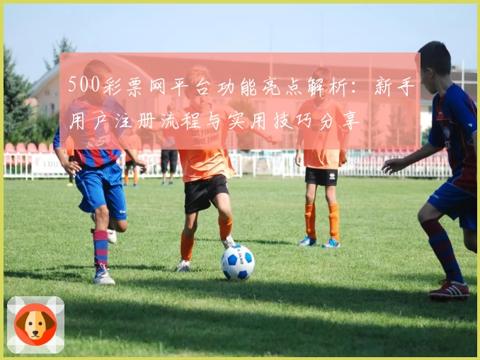 500彩票网平台功能亮点解析:新手用户注册流程与实用技巧分享